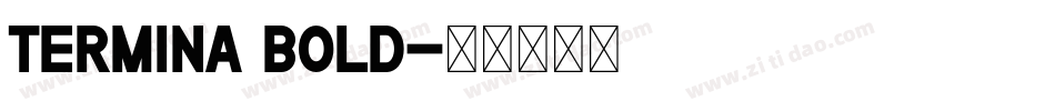 Termina Bold字体转换